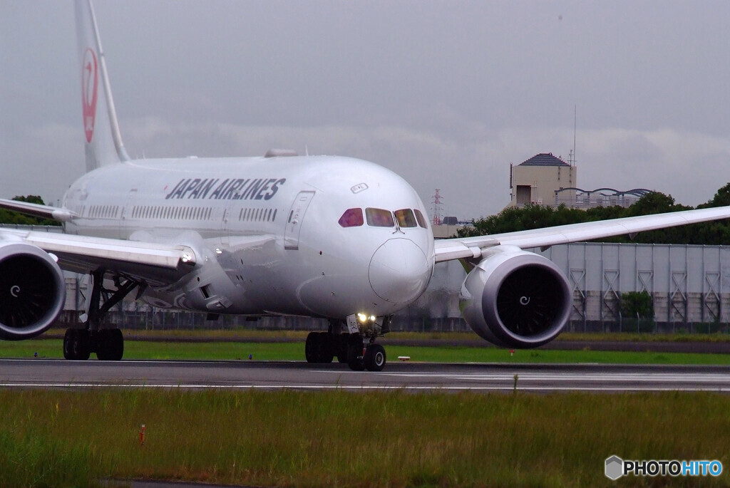 Delusional Trip✈9月の翼