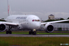 Delusional Trip✈9月の翼