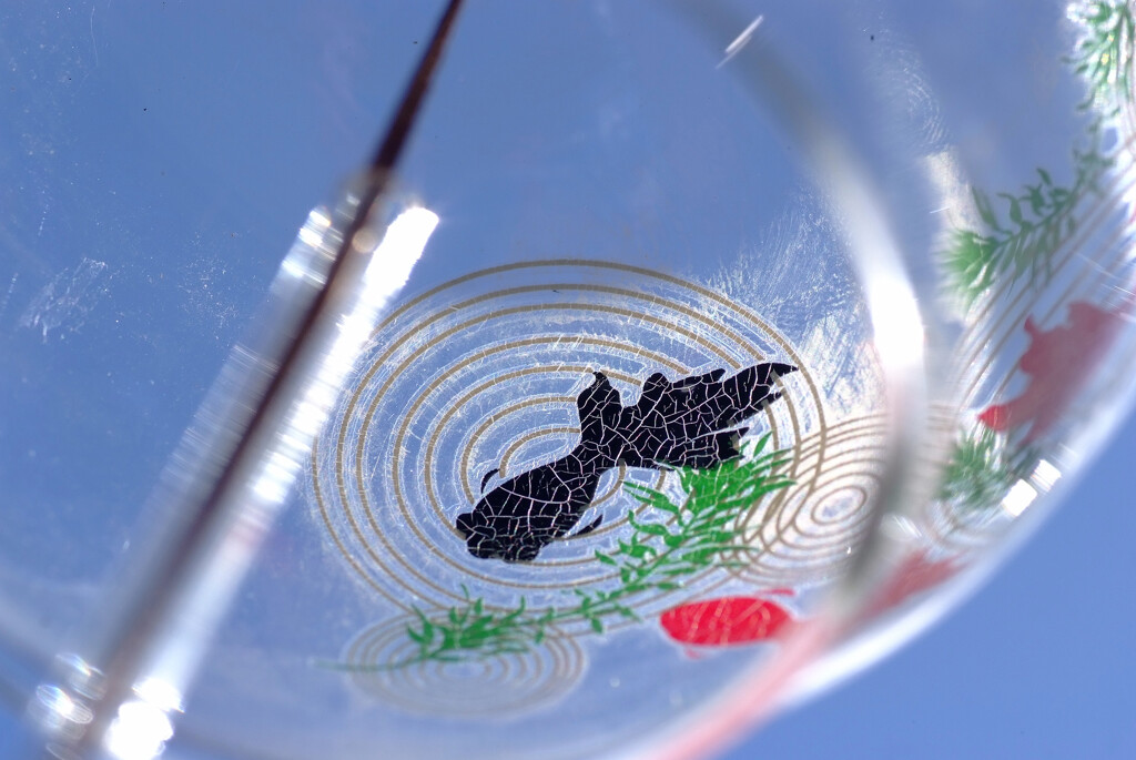 Japanese Beauty♩風鈴金魚