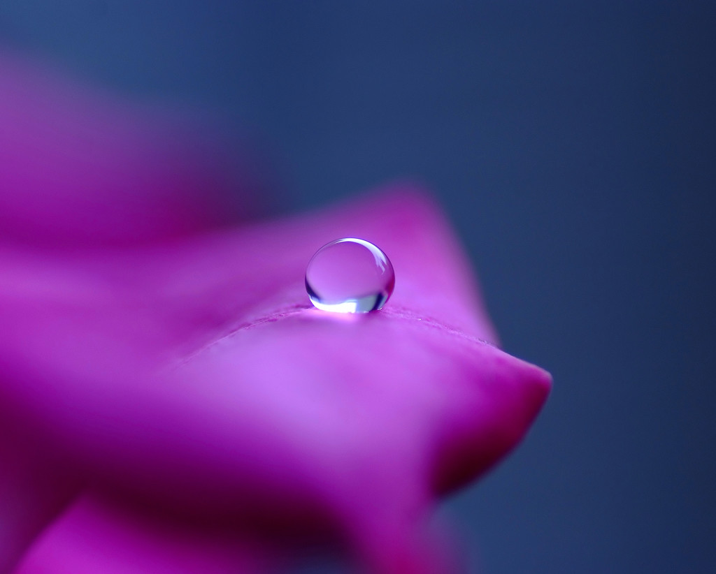 November  Drop（Ⅱ）