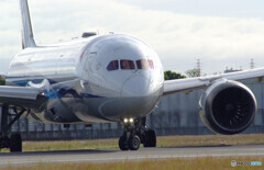 男たちの旅路Ⅱ秋✈Boeing 787-8