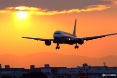 希望の翼2022✈Boeing 767