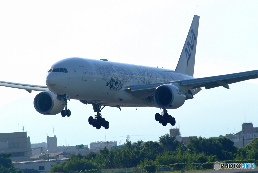 Endless SummerⅥ✈JA745A