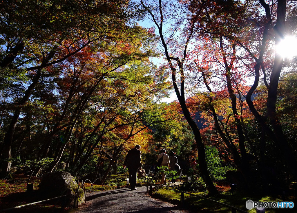 紅葉散策・宝厳院