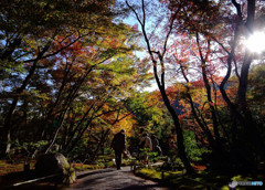 紅葉散策・宝厳院
