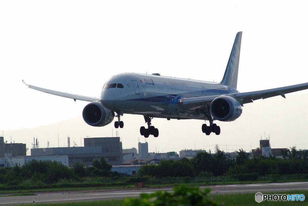 Morning Bird✈Boeing787-9
