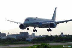 Morning Bird✈Boeing787-9