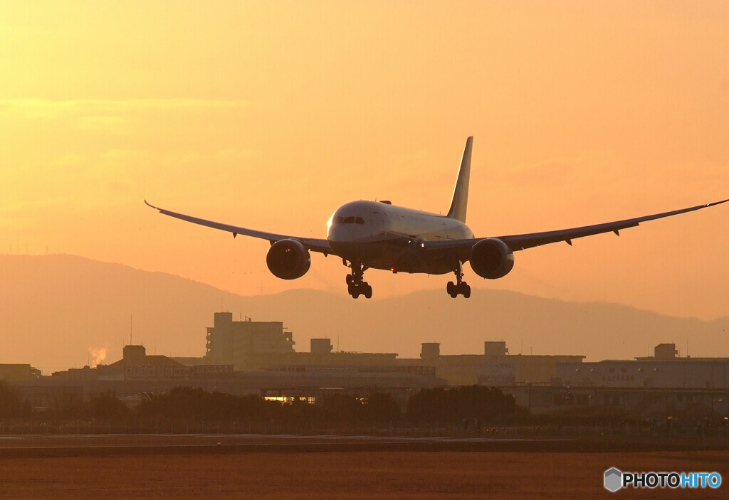 February Sunrise✈ANA