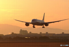 February Sunrise✈ANA