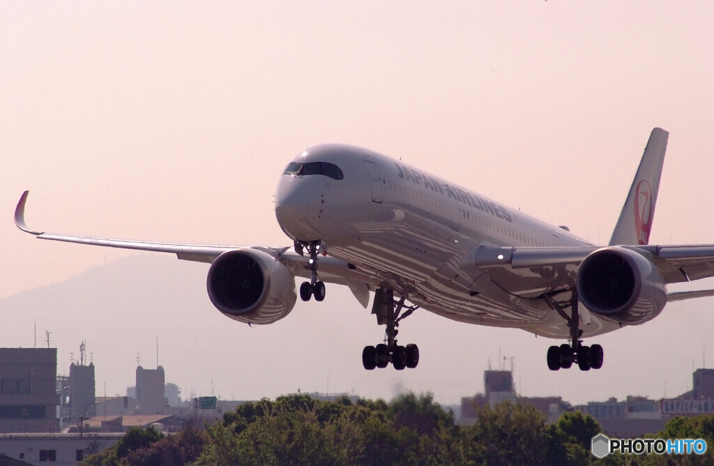 Delusional tripⅨ GW✈JA05XJ