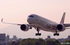 Delusional tripⅨ GW✈JA05XJ