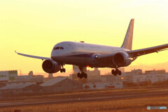 いつか君に追い風が✈787-8