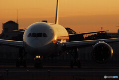 GOLD STAGE✈Boeing 787-8