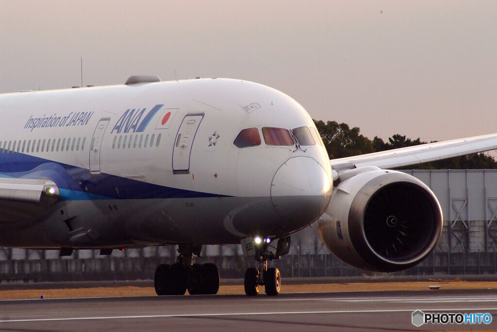 NextStageⅢ✈787-8 Dreamliner