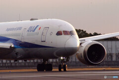 NextStageⅢ✈787-8 Dreamliner