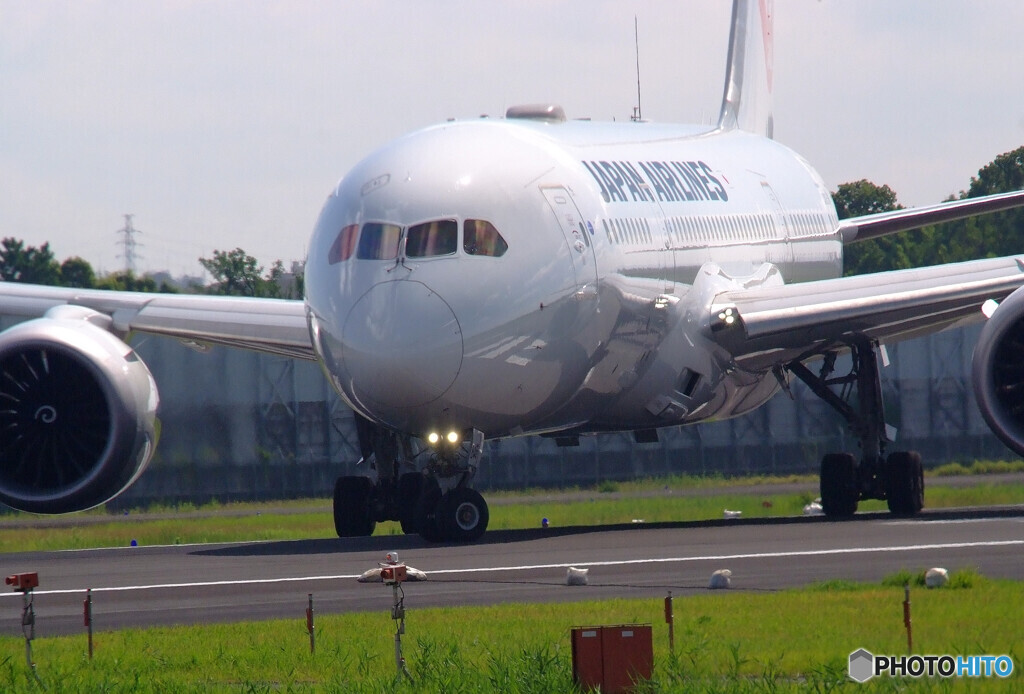 Passion✈Dreamliner 