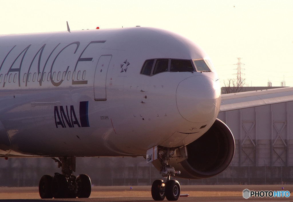 春色に誘われてⅥ・JA614A