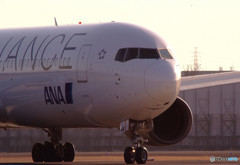 春色に誘われてⅥ・JA614A