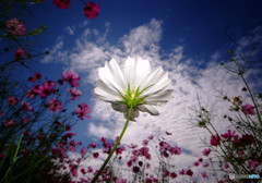 MY STORY・小さな幸せ