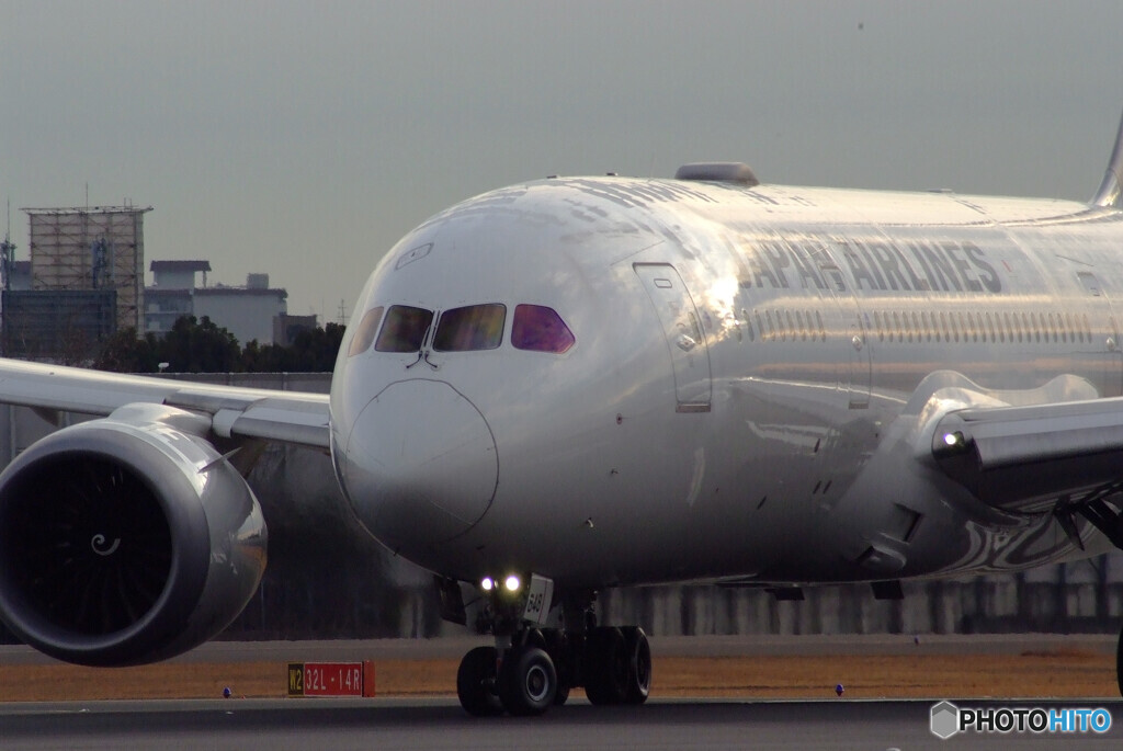 大空に誘うⅡ✈Boeing 787-8