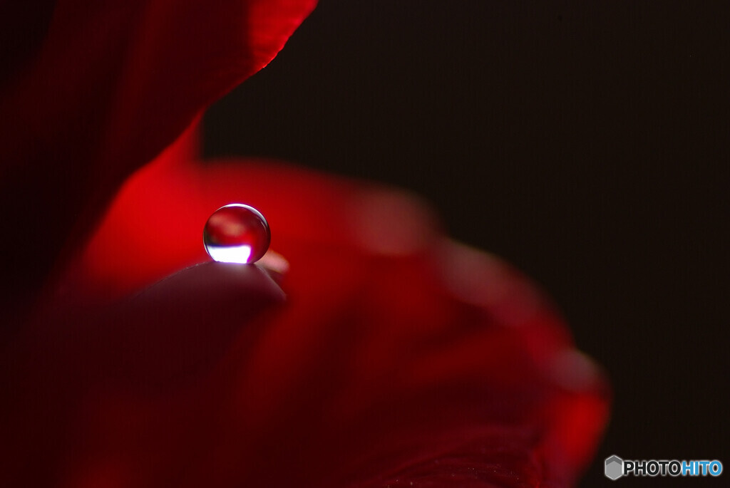 Passion❁想いを込めて