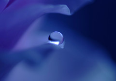 蒼の時代