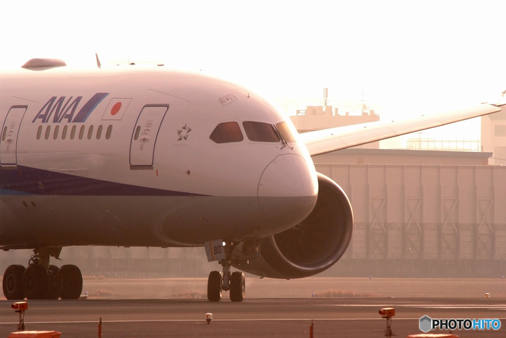 恋人は春色・787