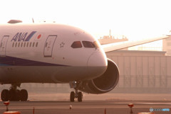 恋人は春色・787