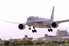 俺の空から・JA833A