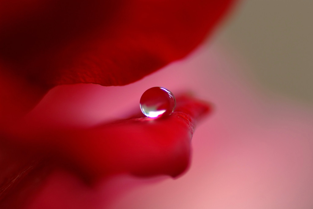 涼月の惑星・（Ⅲ）