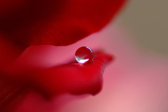 涼月の惑星・（Ⅲ）