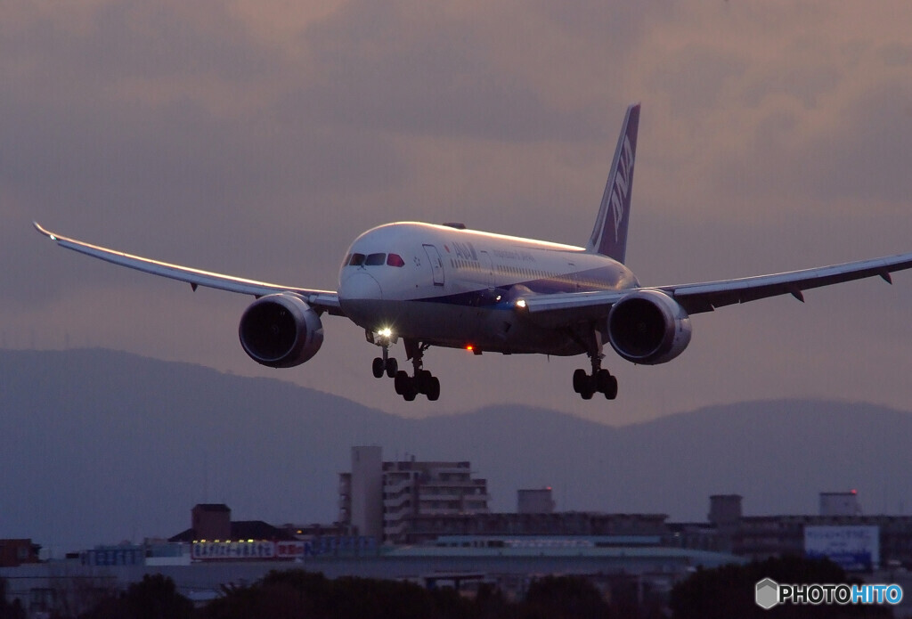 The Good Morning☆Dreamliner 