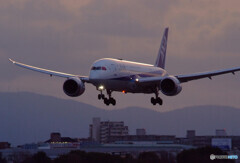 The Good Morning☆Dreamliner 