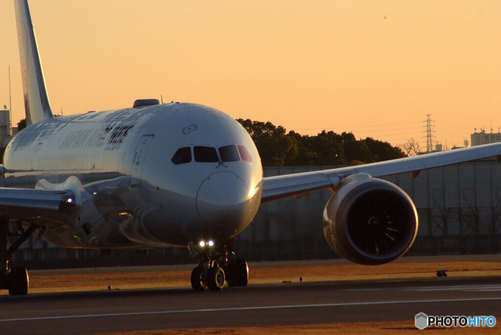新しい朝✈Boeing787-8