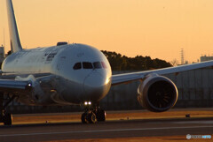 新しい朝✈Boeing787-8