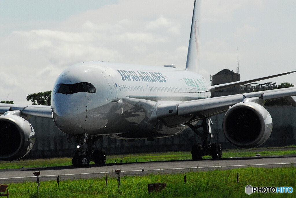 September morningⅣ✈JA03XJ