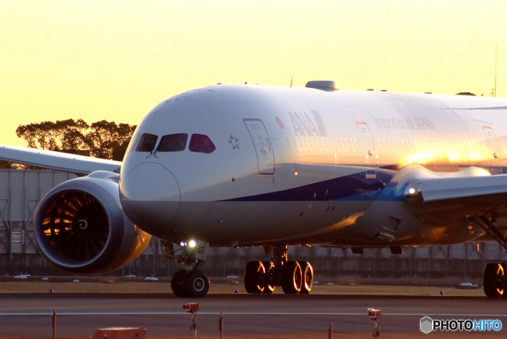 Good Luck☆Boeing 787-8