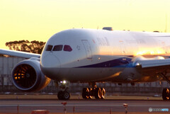 Good Luck☆Boeing 787-8