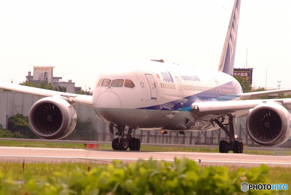 HARADAの朝✈787-8 Dreamliner