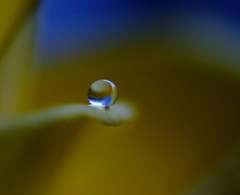 如月の惑星・雫（Ⅸ）