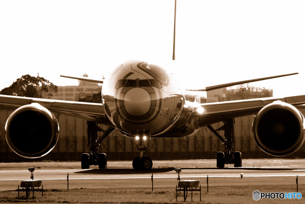 3月の空へ✈BB-8