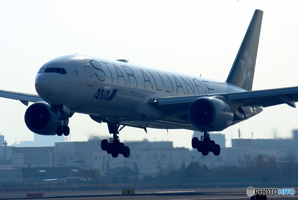 Flight Traveler・STAR