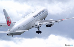 A gift from the North・(Ⅹ)