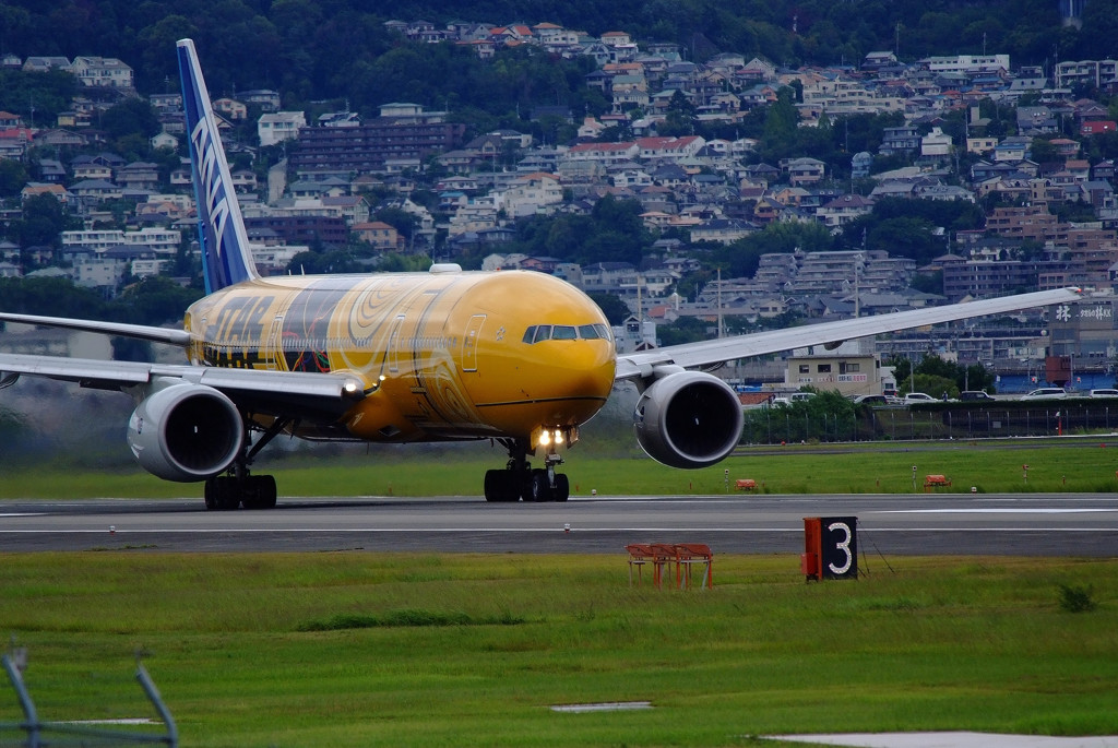 A gift from the North・(Ⅶ）