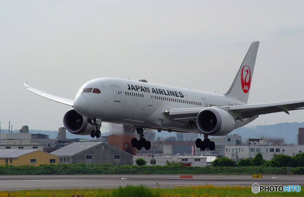 輝き✈787-8 Dreamliner