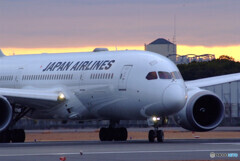 男の旅路✈Boeing 787-8 男の旅路✈Boeing 787-8