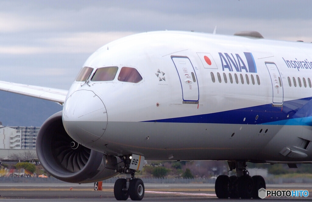 Good Afternoon✈787-8