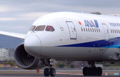 Good Afternoon✈787-8