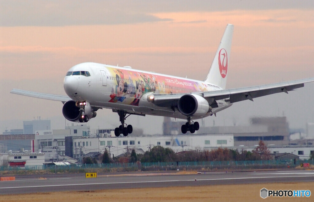 都会のOasis✈JA614J