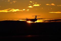 睦月の朝焼け✈Bombardier DHC-8-400